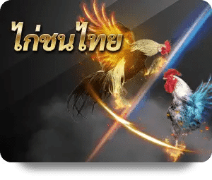 ไก่ชนไทย เกมกีฬาออนไลน์