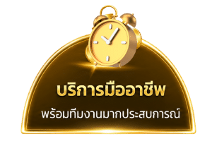 บริการมืออาชีพ